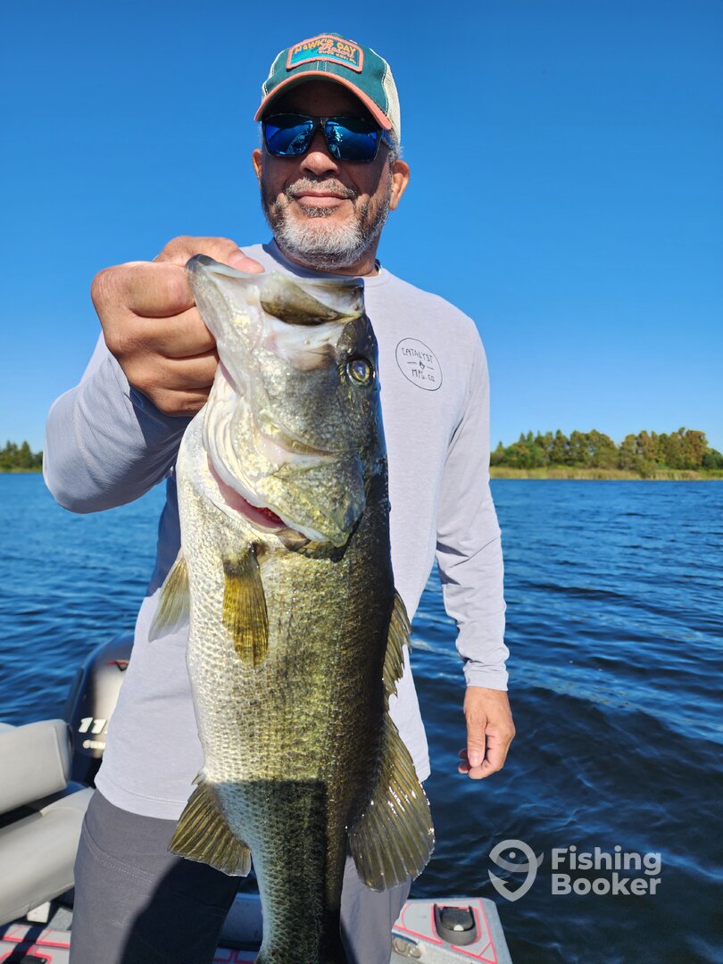 Orlando Report Photo 0