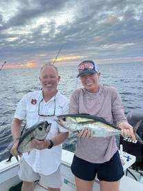 Blackfin Tuna are back !!