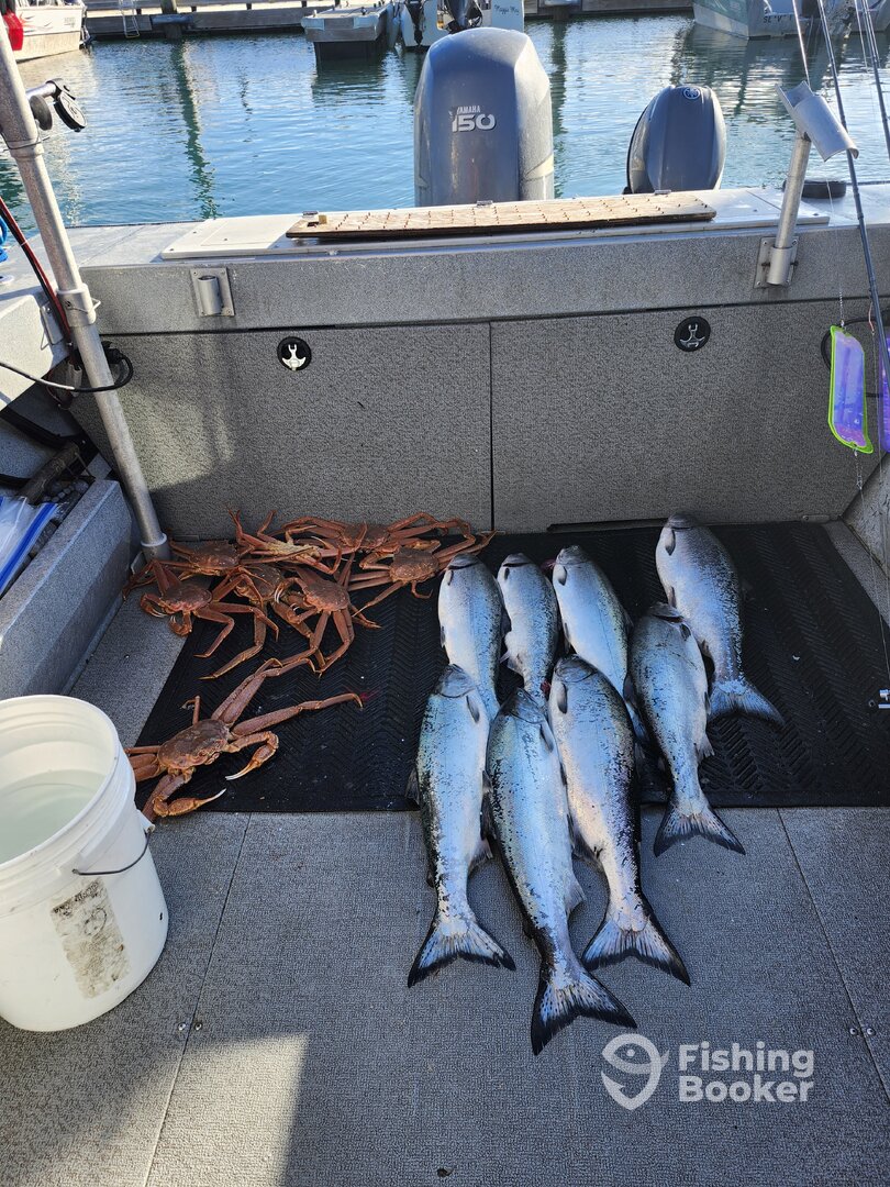 Homer Report Photo 0