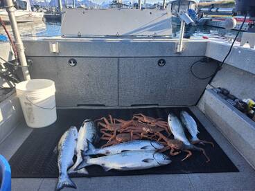 Homer Report Photo 1