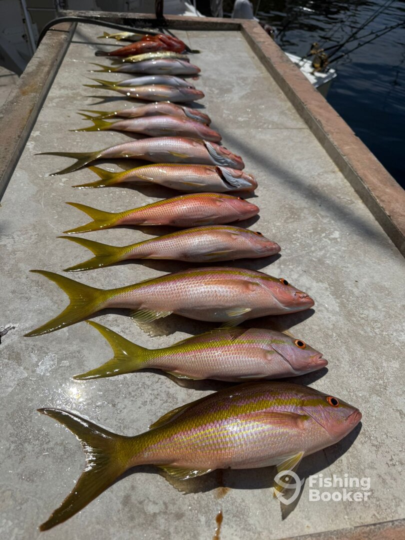 Puerto Aventuras Report Photo 0