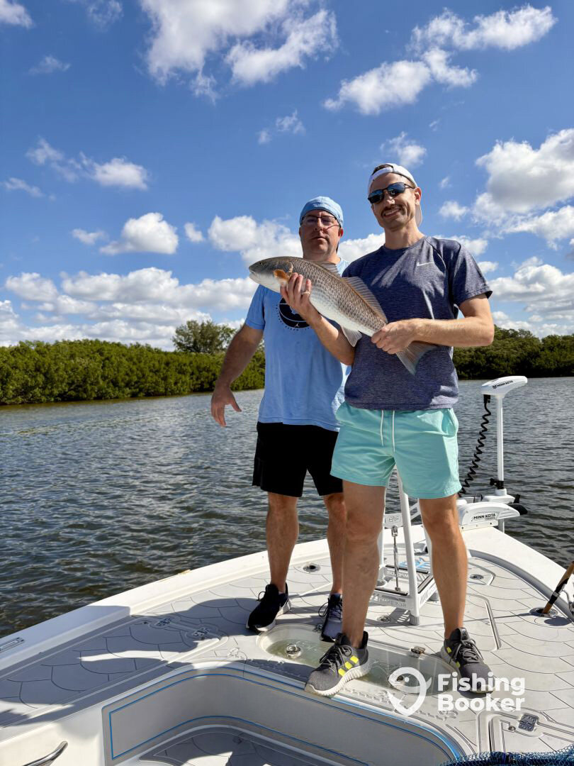 Clearwater Report Photo 0