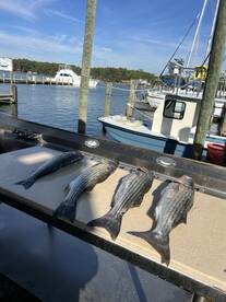 4 Man limit on rock fish!