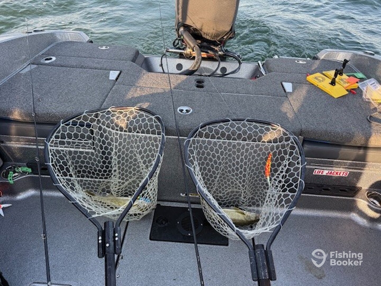 Wayne County Report Photo 0