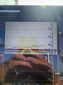 Wayne County Report Photo 1