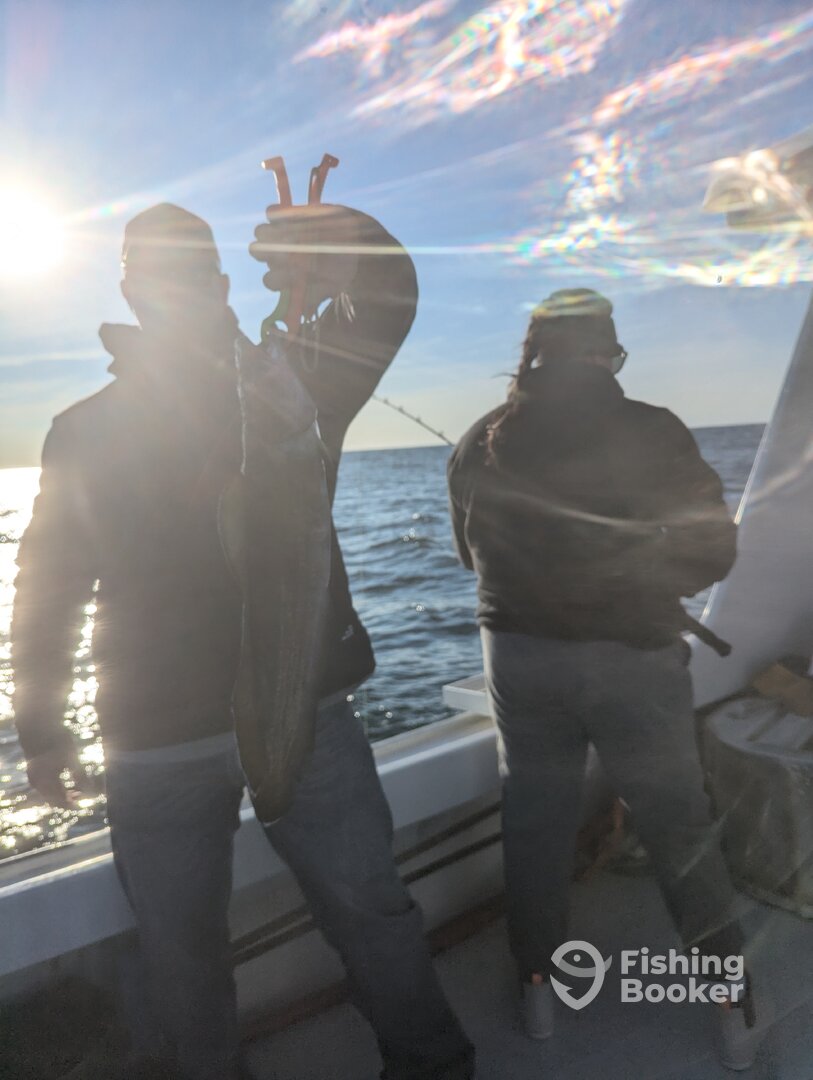 Gloucester Report Photo 0