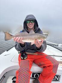 Mount Pleasant Report Photo 1