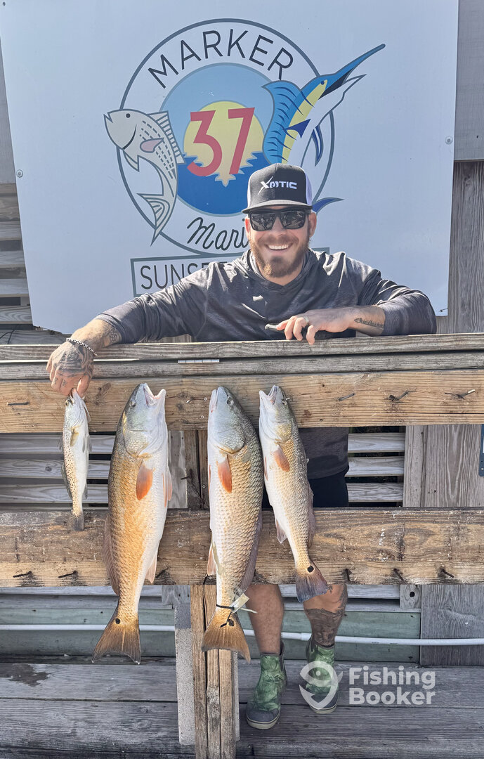 Corpus Christi Report Photo 0