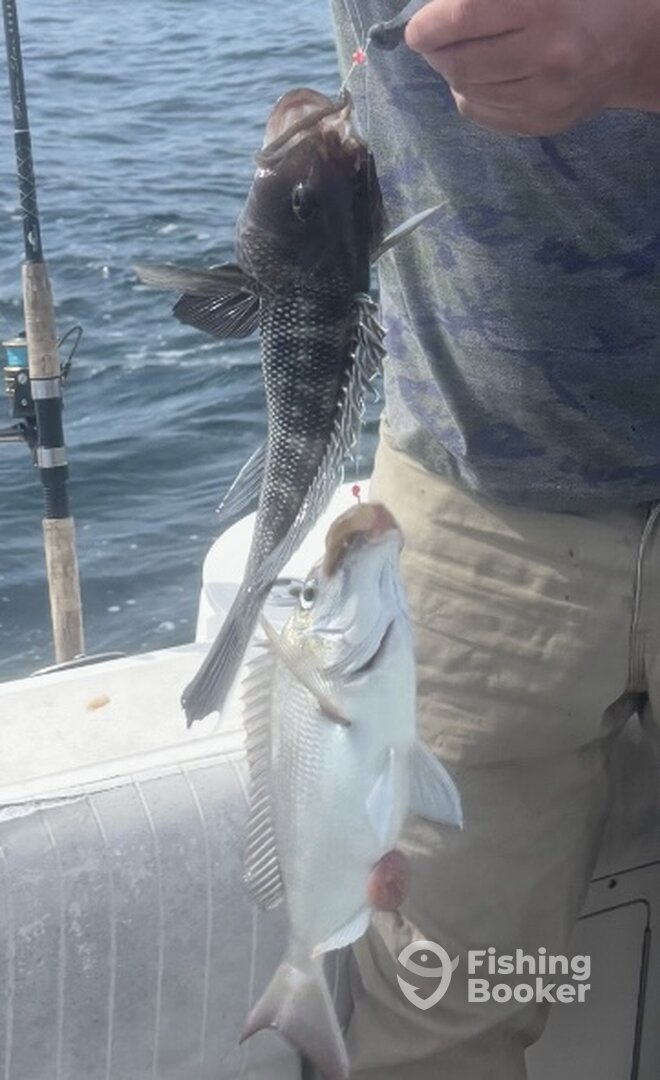 Cape May County Report Photo 0