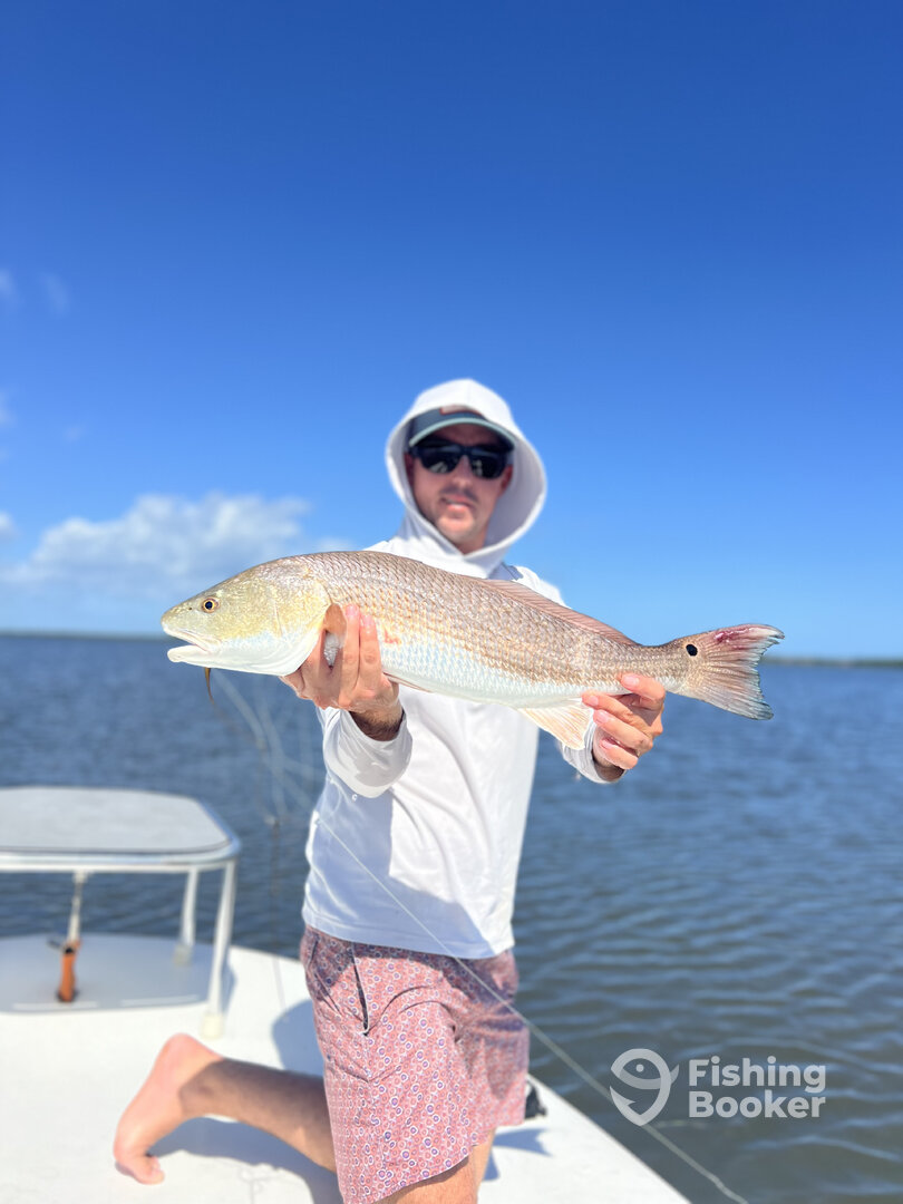 Oak Hill Report Photo 0