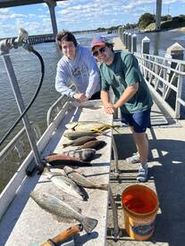 Jacksonville Report Photo 2