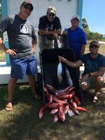 Tight lines all morning