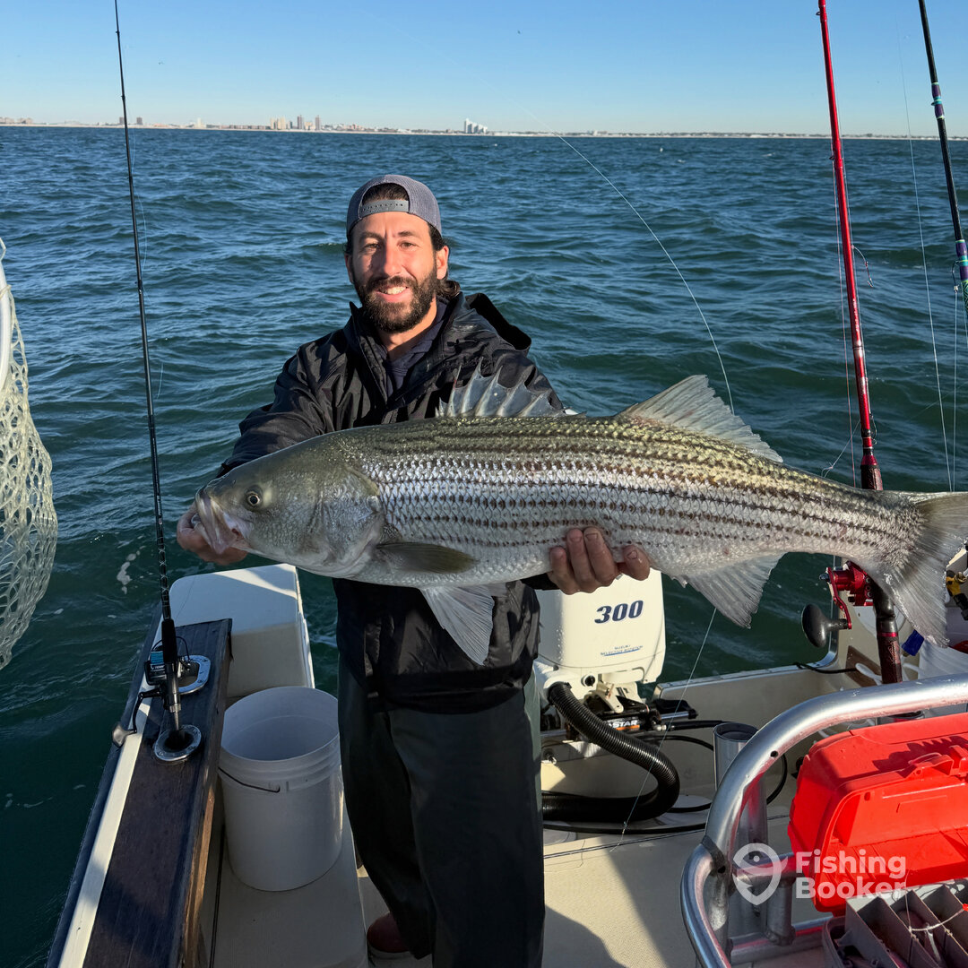 Island Park Report Photo 0