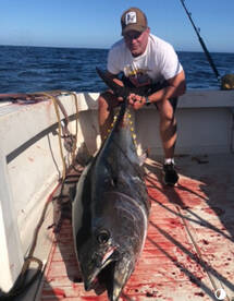 Bluefin to 150 pounds close and Thresher