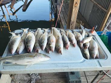 Fall fishing is finally here!!