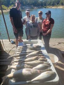 Pottsboro Report Photo 2