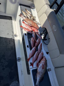 Panama City Report Photo 1