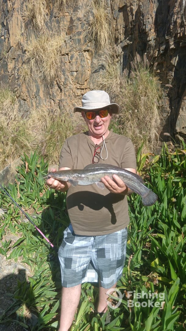 Cape Town Report Photo 0