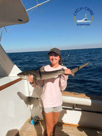 Wind, Bonitas, and a Tiger Shark Surpris