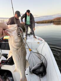 Nanticoke Report Photo 4