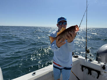 Belleair Bluffs Report Photo 1