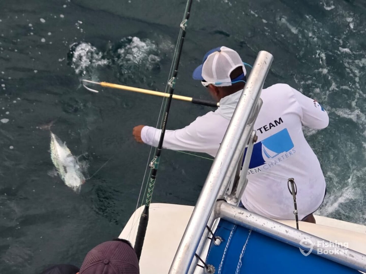 Panama City Report Photo 0