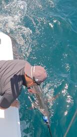 Panama City Report Photo 1