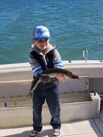 St. Clair Shores Report Photo 1