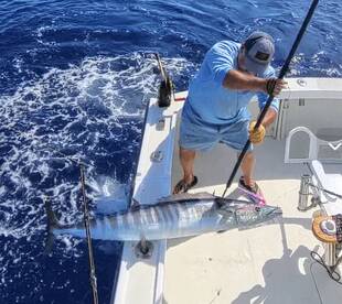 Sandys Report Photo 1