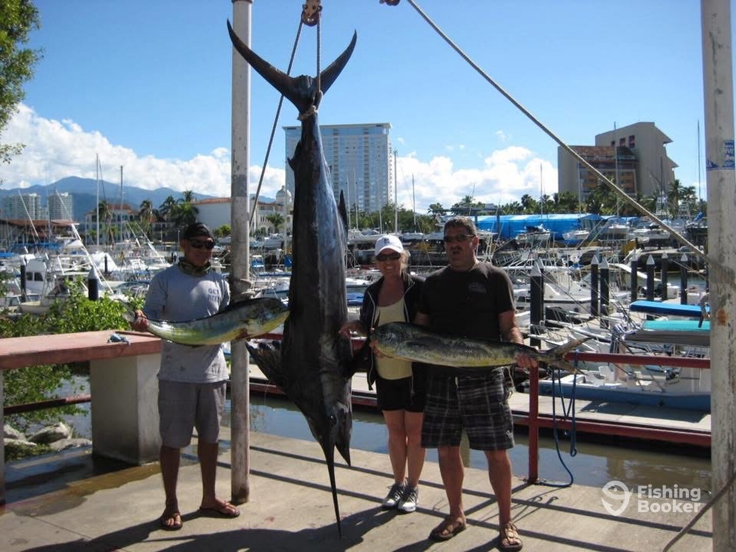 Puerto Vallarta Report Photo 0