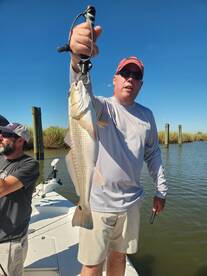 Empire Report Photo 1