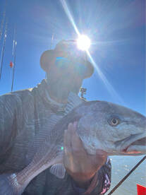 Hilton Head Island Report Photo 2