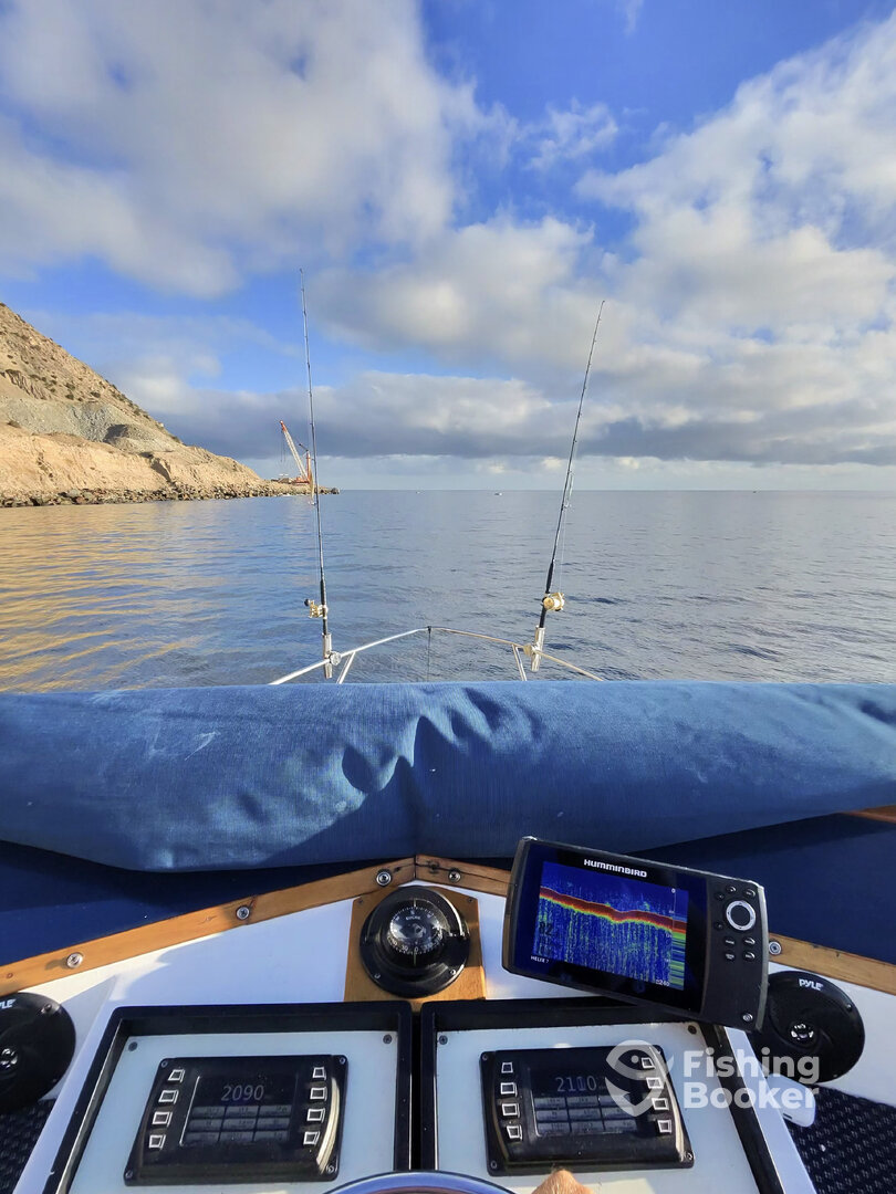 Avalon Report Photo 0