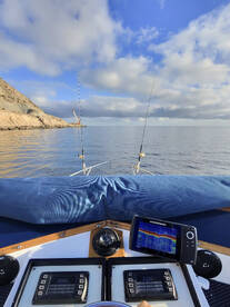 Great fishing today! 