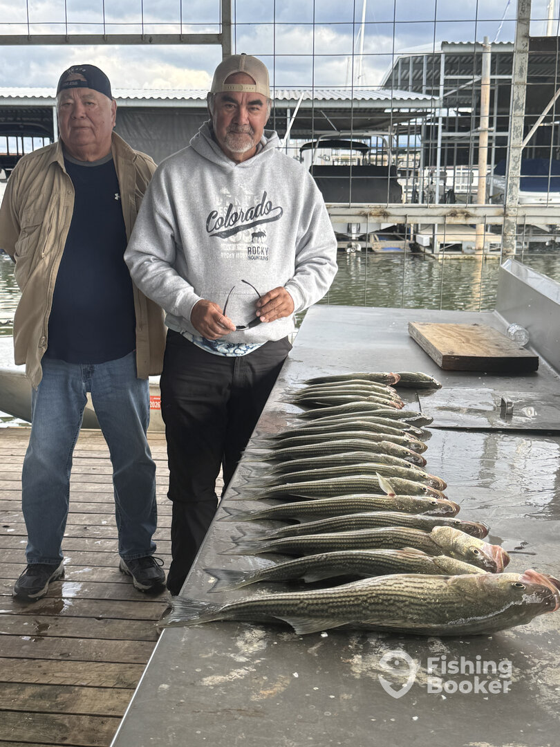 Pottsboro Report Photo 0