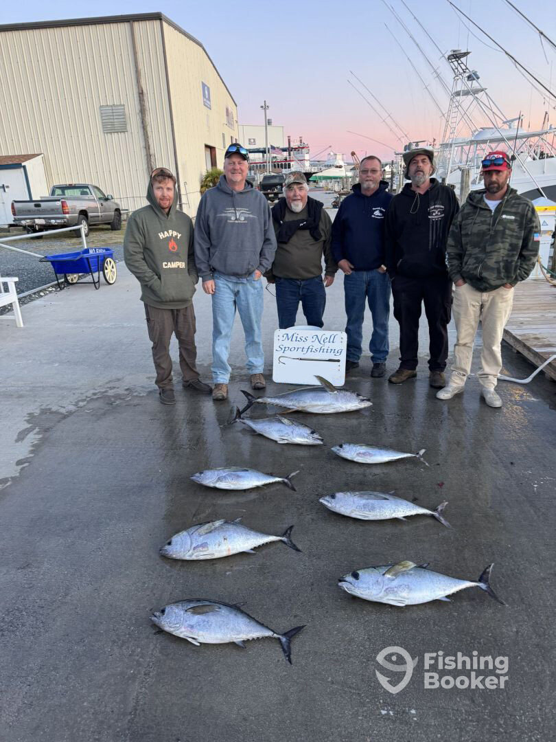 Wanchese Report Photo 0