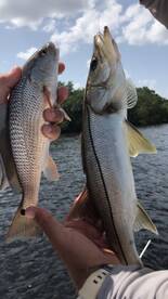 Tampa Report Photo 2