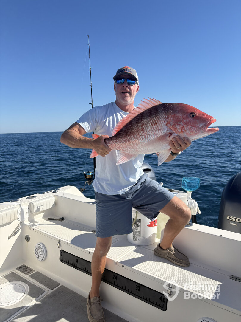 Hilton Head Island Report Photo 0