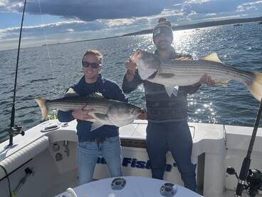 New York City Report Photo 1