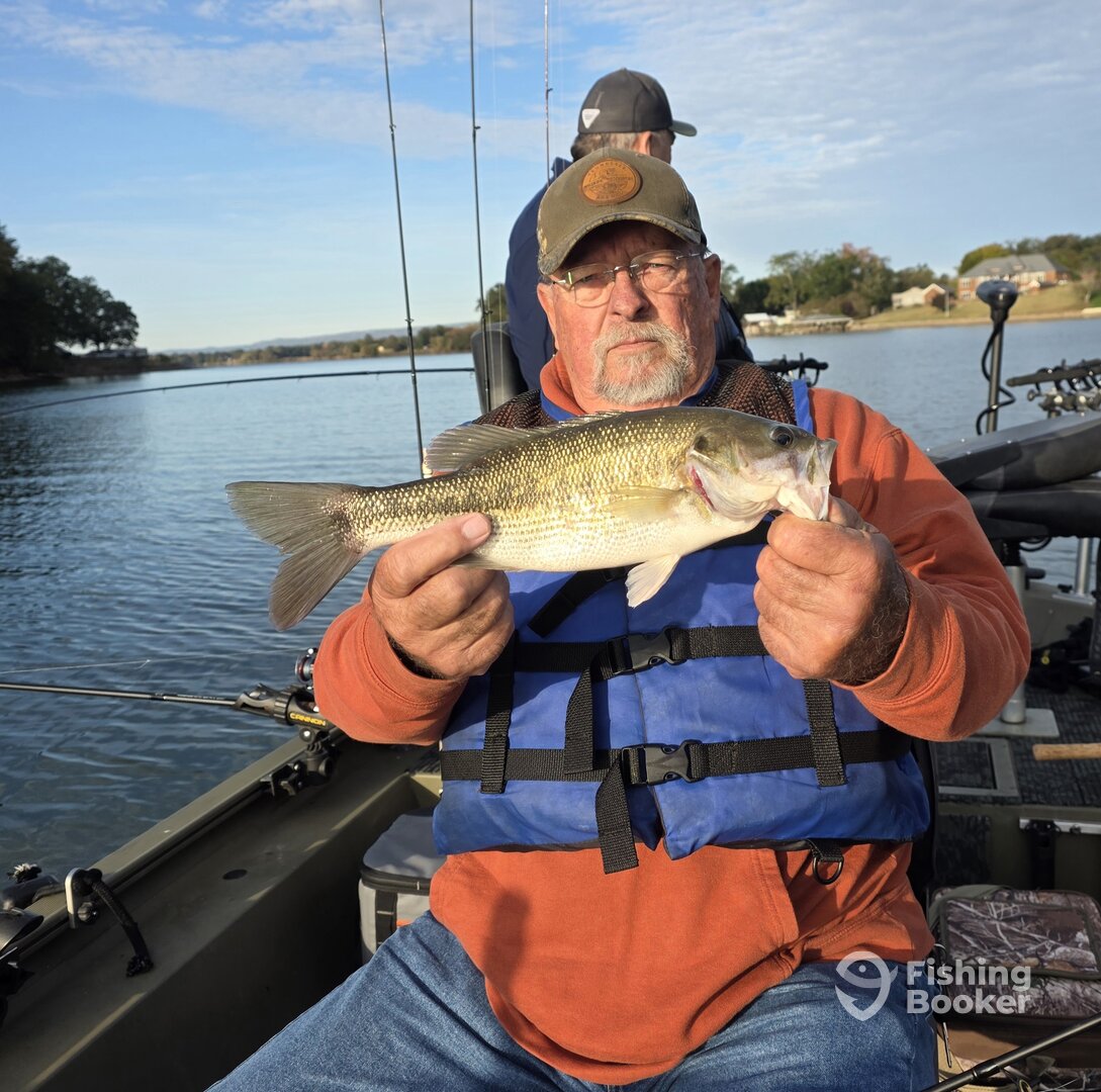 Harrison Report Photo 0