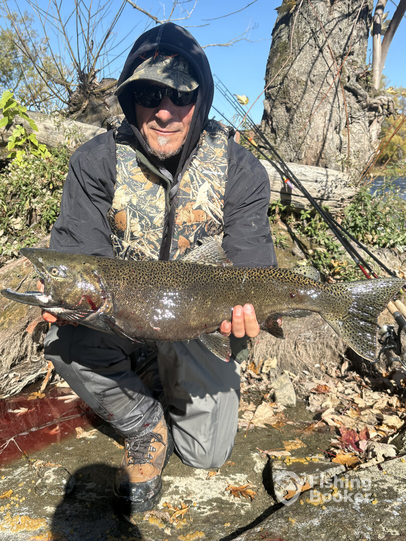 Pulaski Report Photo 0