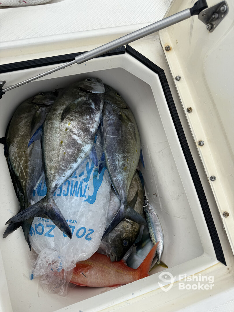 Kailua-Kona Report Photo 0