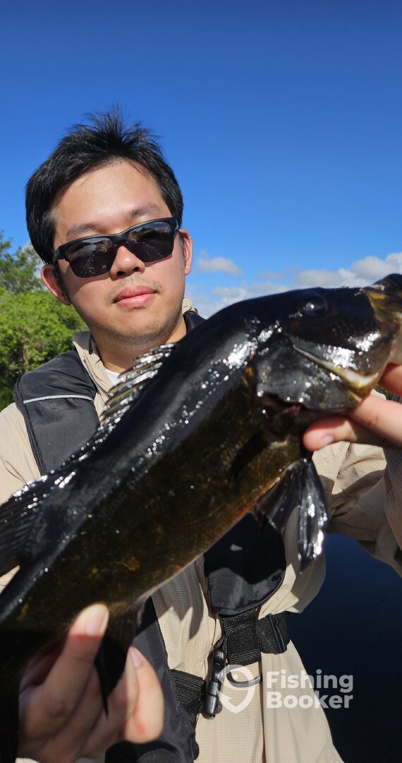 Fort Lauderdale Report Photo 0