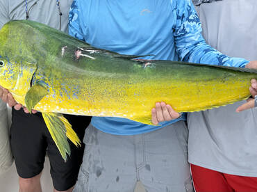 Fall bait migration in full swing!