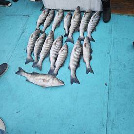 Sunday Rock party...