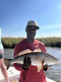 Wilmington Island Report Photo 4