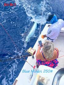2 Blue Marlin catch & release