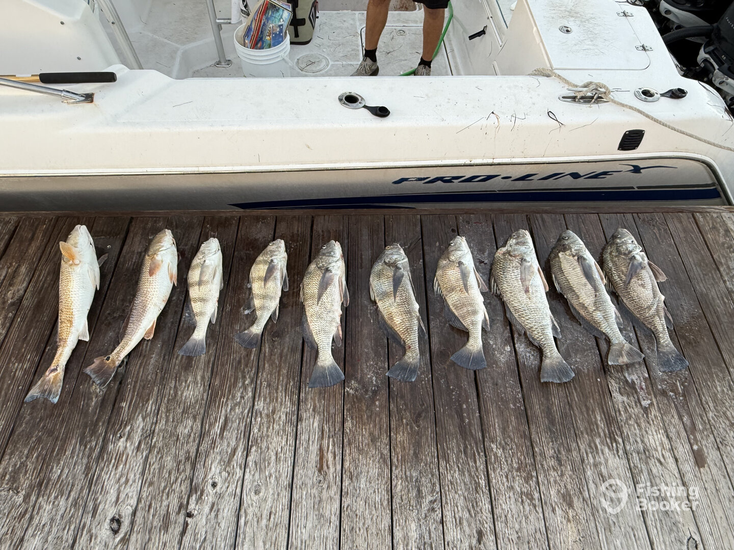 Corpus Christi Report Photo 0