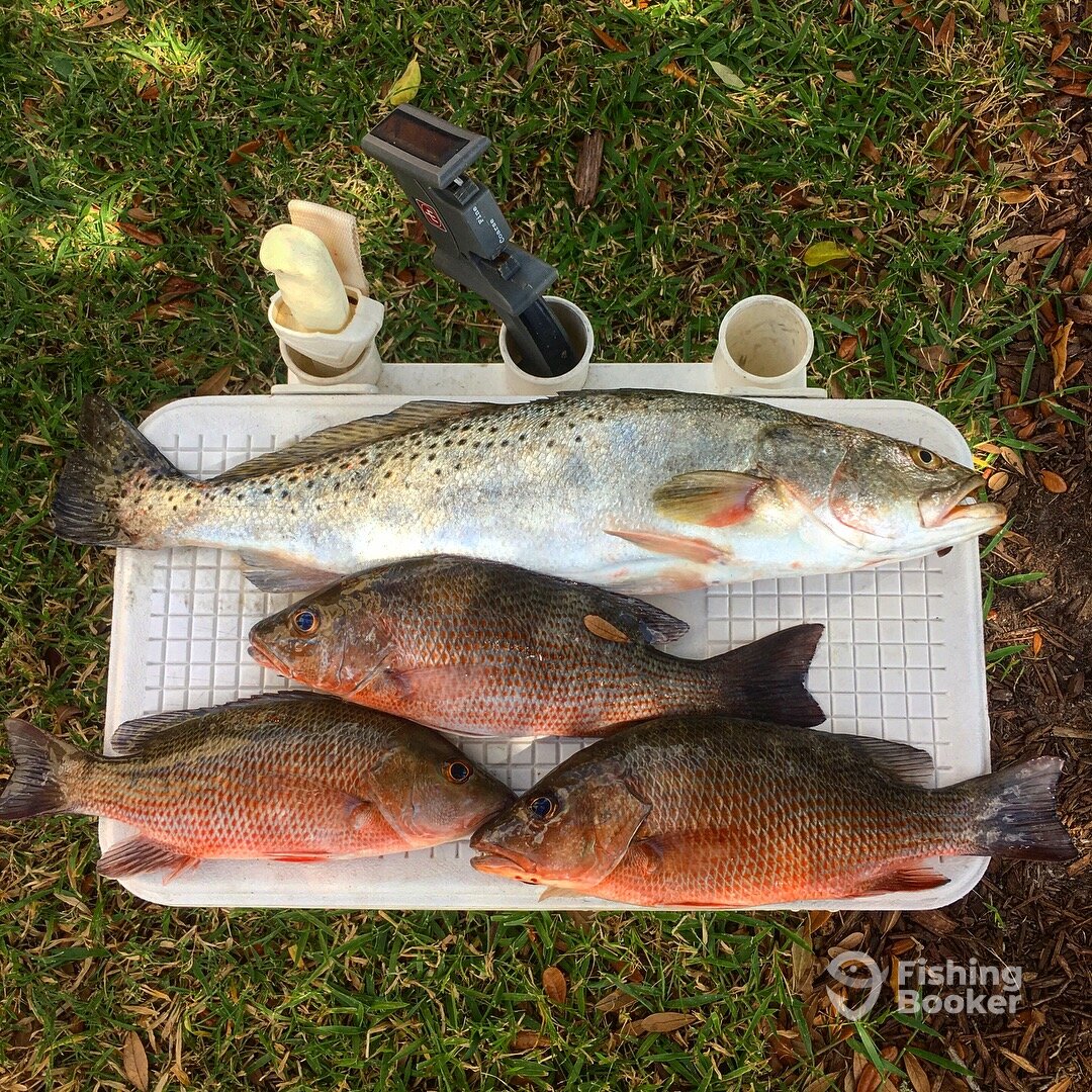 Sarasota Report Photo 0