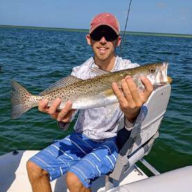 Sarasota Report Photo 1